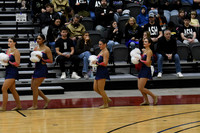 37_Whitnall_8910