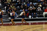 37_Whitnall_8911