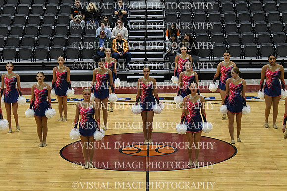37_Whitnall_8916