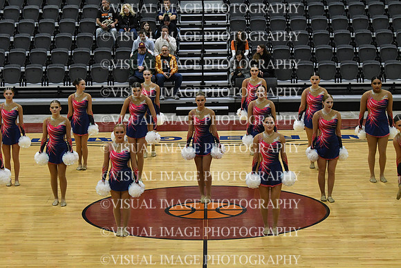 37_Whitnall_8917