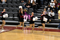 195_MSOE_JR_12311