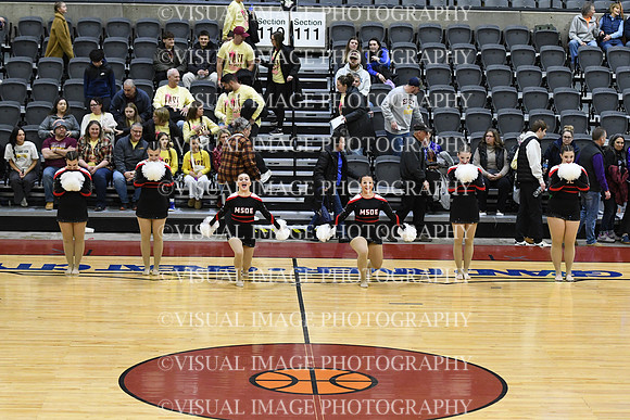 195_MSOE_JR_12313