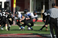 ILFB_13_10018