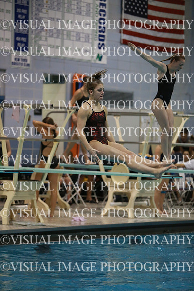 ILSWG13_DIVE_040
