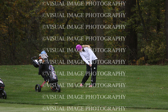 WIGFG_15_IND1005