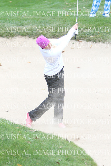 WIGFG_15_IND1023