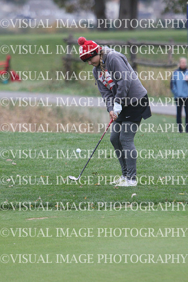 WIGFG_15_IND1035