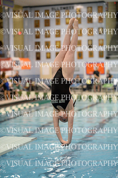 ILSWG13_DIVE_028