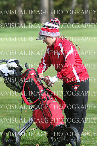 WIGFG_15_T201001