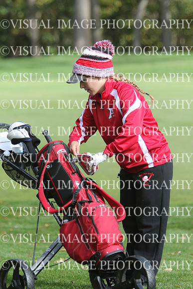 WIGFG_15_T201002