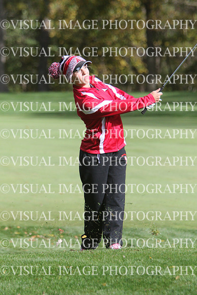 WIGFG_15_T201003