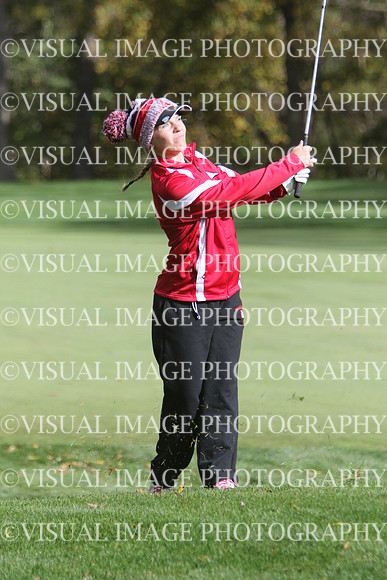 WIGFG_15_T201004