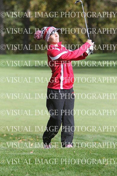 WIGFG_15_T201005
