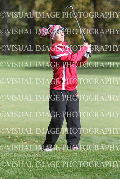 WIGFG_15_T201007