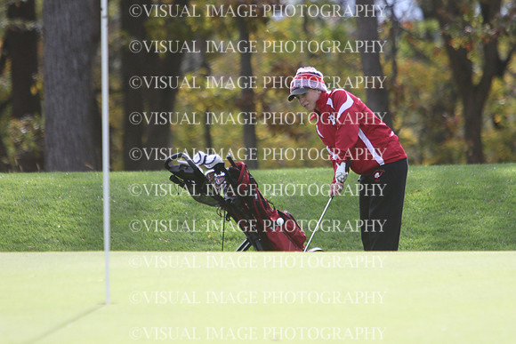 WIGFG_15_T201008