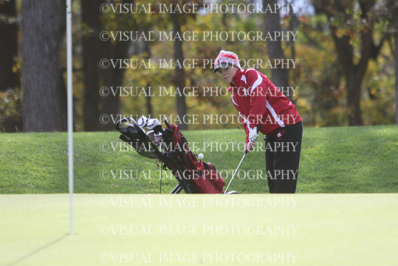 WIGFG_15_T201009