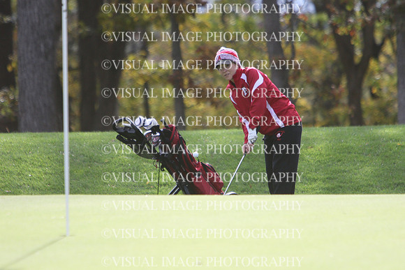 WIGFG_15_T201010