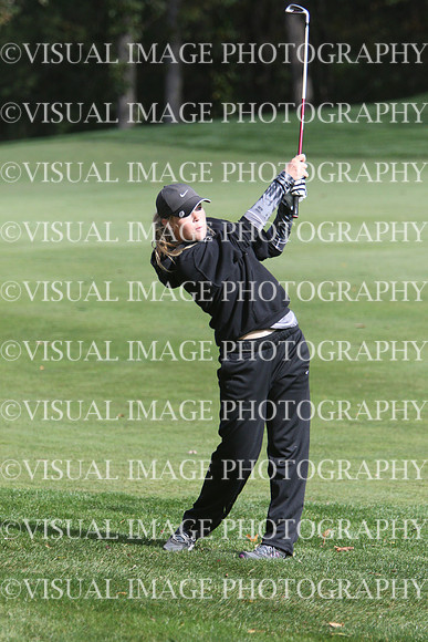 WIGFG_15_T201017
