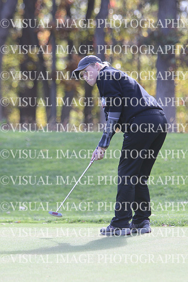 WIGFG_15_T201023
