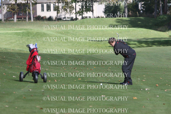 WIGFG_15_T201025