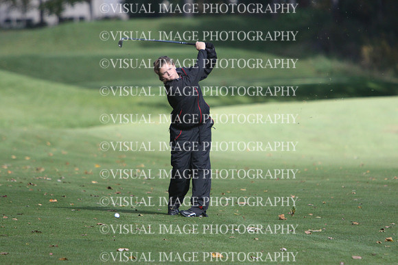 WIGFG_15_T201028