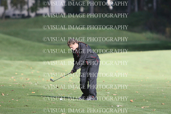 WIGFG_15_T201029