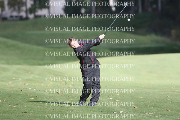 WIGFG_15_T201031