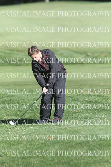 WIGFG_15_T201032