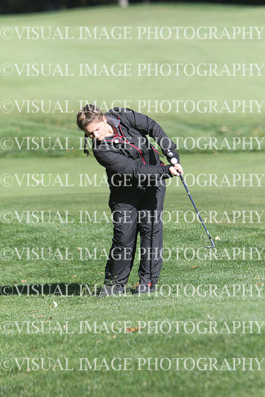 WIGFG_15_T201033