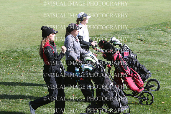 WIGFG_15_T201039