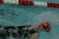 wiswg09_2med_2006