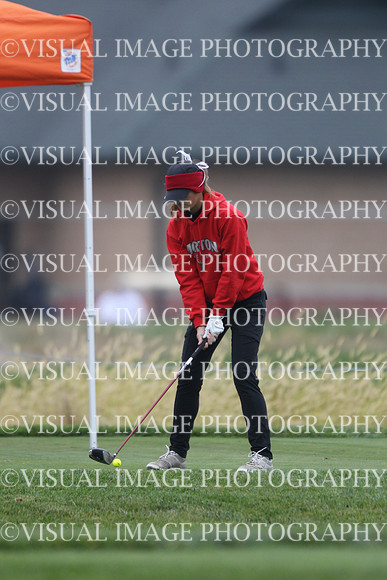 ILGFG_13_T108014