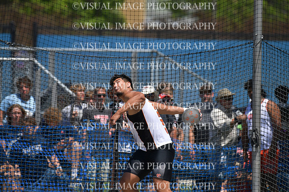 ILTK24_DISCUS_F30049