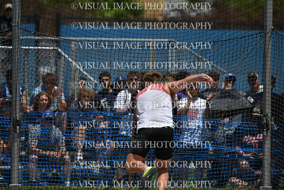 ILTK24_DISCUS_F30001