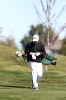 ILGF_15_T112013