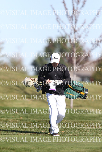 ILGF_15_T112013