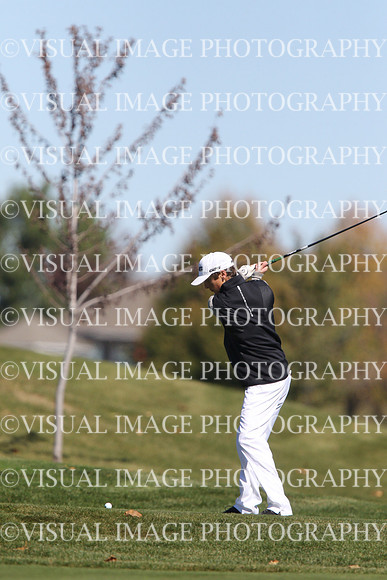 ILGF_15_T112015