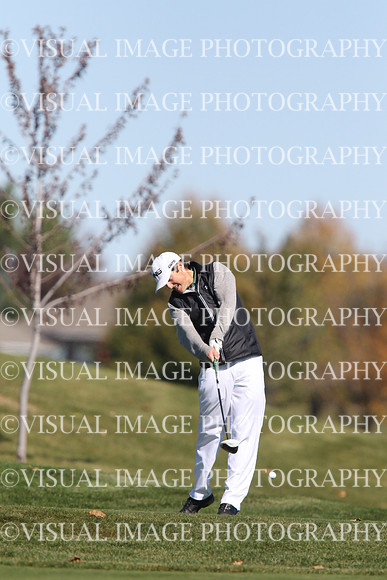 ILGF_15_T112020