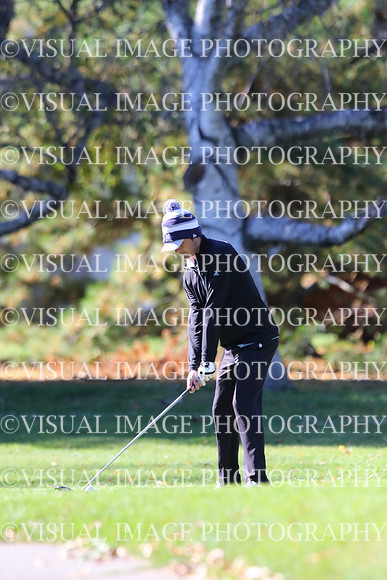 ILGF_15_IND20003