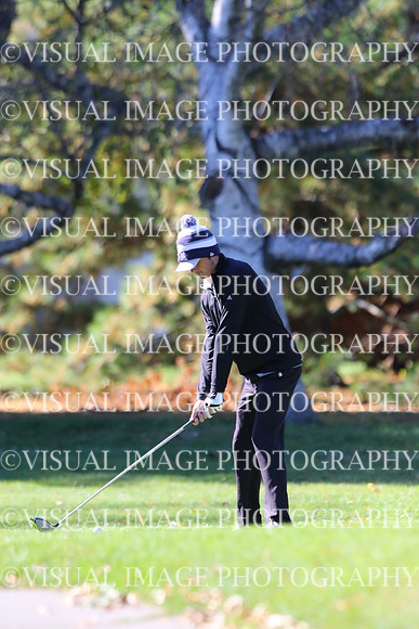 ILGF_15_IND20004