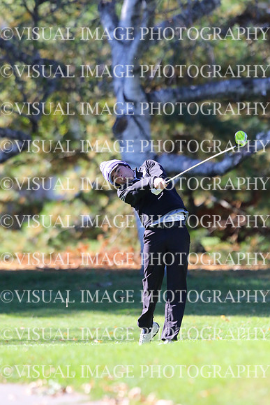 ILGF_15_IND20008