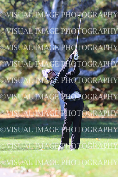 ILGF_15_IND20009