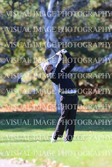 ILGF_15_IND20010