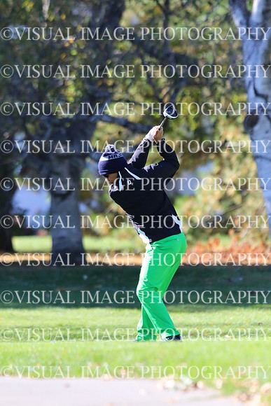 ILGF_15_IND20022
