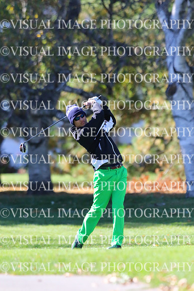 ILGF_15_IND20029