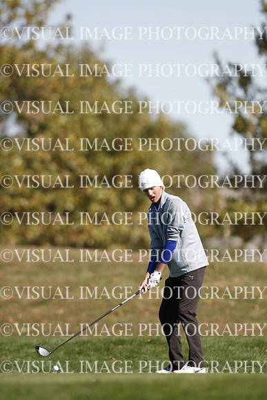 ILGF_15_T303035