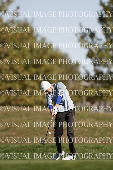 ILGF_15_T303042