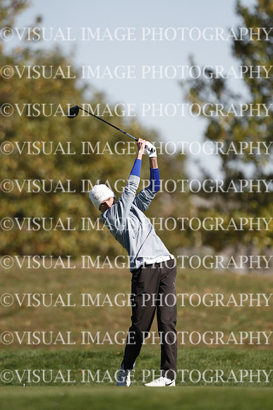 ILGF_15_T303044