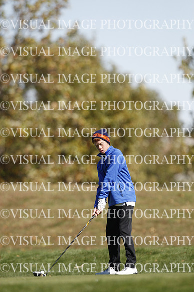 ILGF_15_T303052