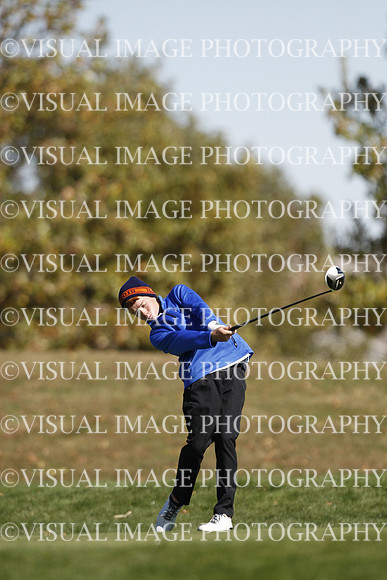 ILGF_15_T303059